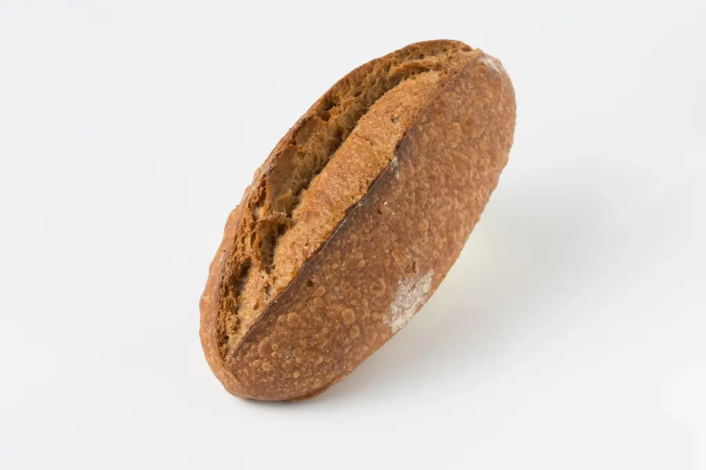 Intégral BIO